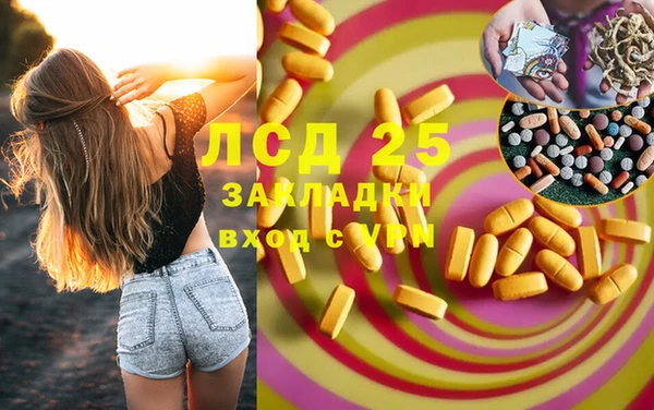 ГАЛЛЮЦИНОГЕННЫЕ ГРИБЫ Алексин