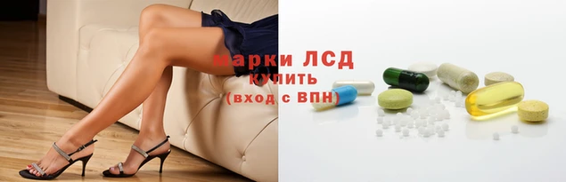 гидропоника Алзамай